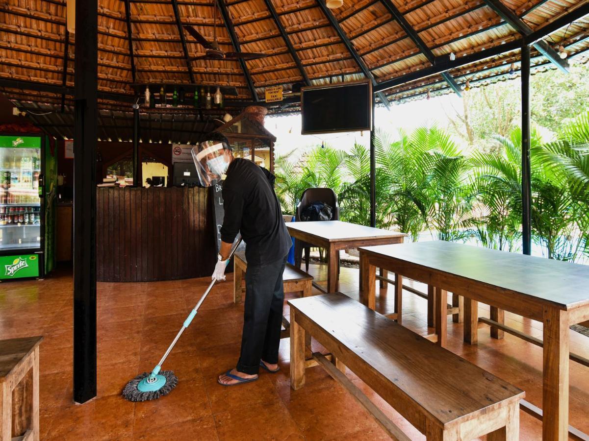 果阿哟哟小屋 GOA 外观 照片